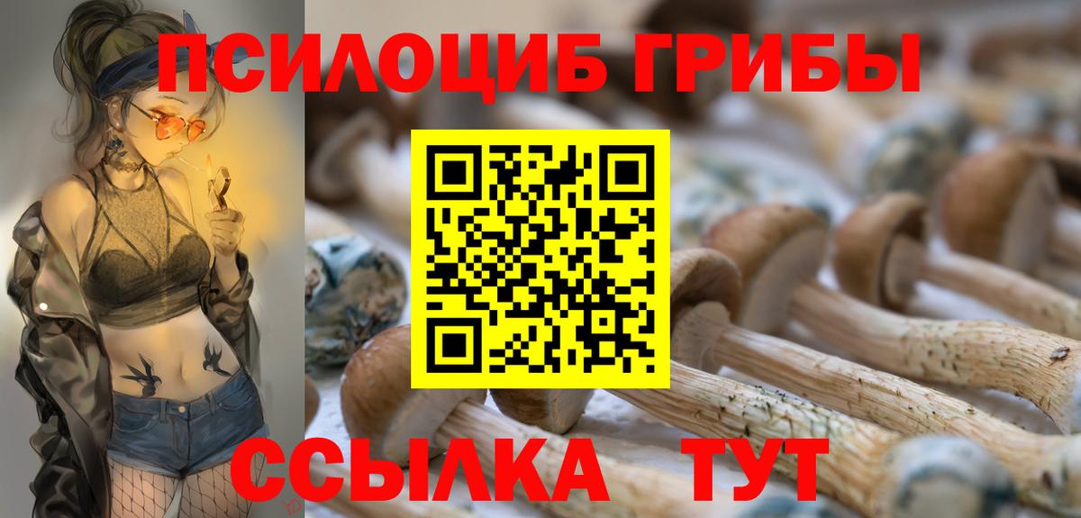 Губкин  Галлюциногенные грибы GOLDEN TEACHER  Вход с VPN 